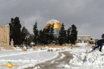 المنخفض القطبي يشتد اليوم وثلوج متراكمة على الجبال